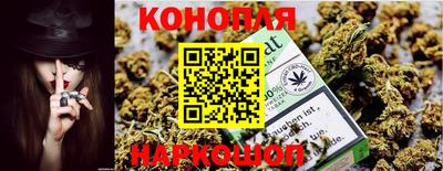 индика Анапа