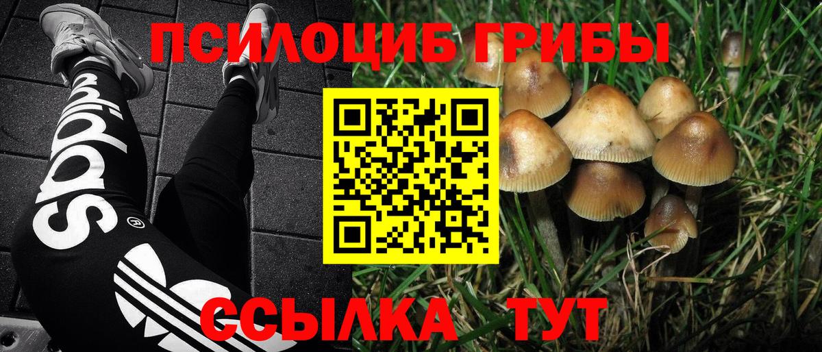 Псилоцибиновые грибы прущие грибы  Вход с VPN  Коркино 